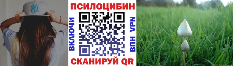 Псилоцибиновые грибы MAGIC MUSHROOMS  магазин продажи наркотиков  Осташков 